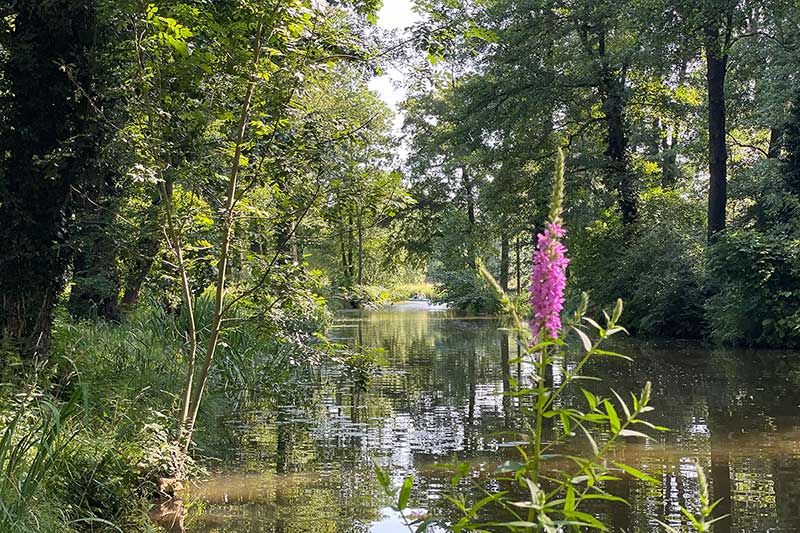 Fliess am Naturhafen in Raddusch