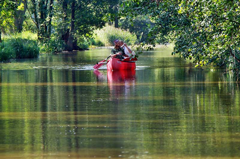 Paddling in Raddusch